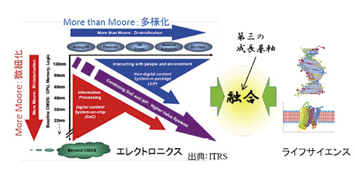 図表4：エレクトロニクスとライフサイエンスの融合